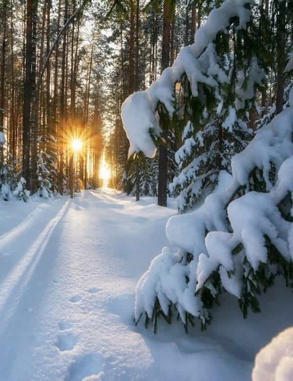 Фото Онлайн Зима
