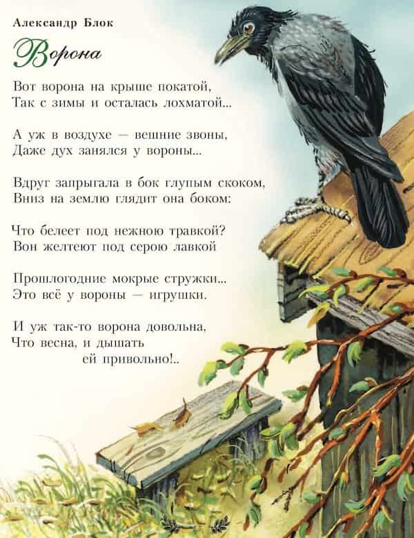 Ворона Матрёна (стихи для детей)