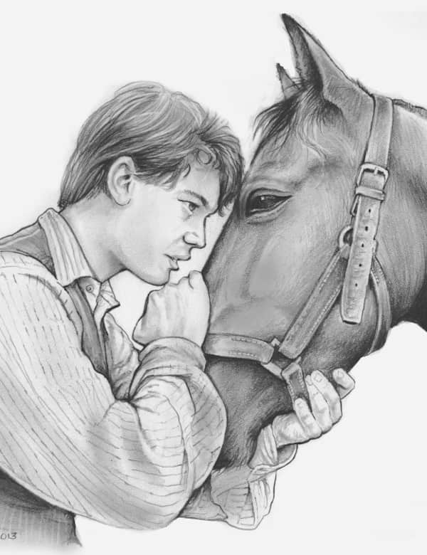 Сострадание в хорошее отношение к лошадям