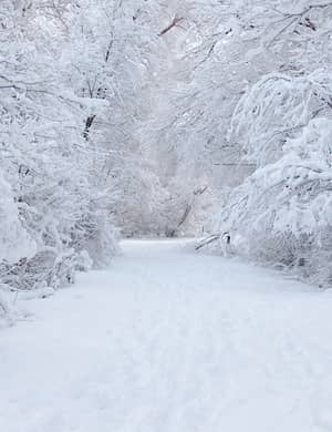 Снег - слушать стихотворение Иннокентия Анненского