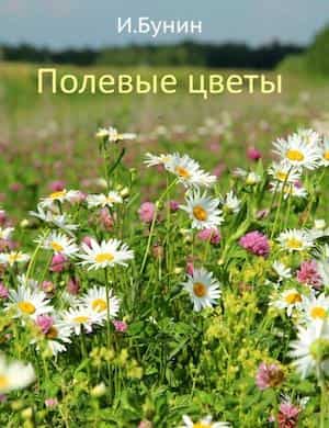 Полевые цветы - обложка стихотворения Бунина