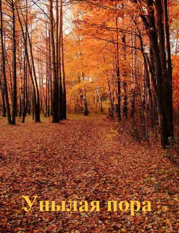 Осенняя Пора Очей Очарованье Фото